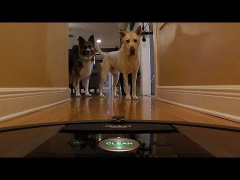 irobot roomba 960 review with 3 dogs