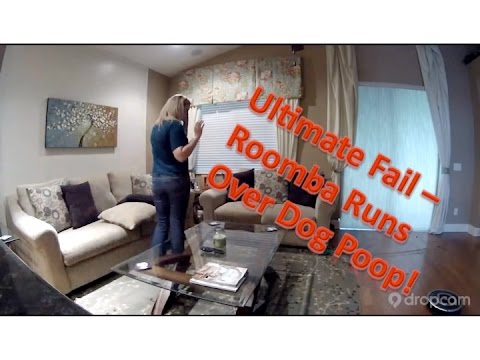 Funny Dog Video - Roomba Runs Over Dog Poop